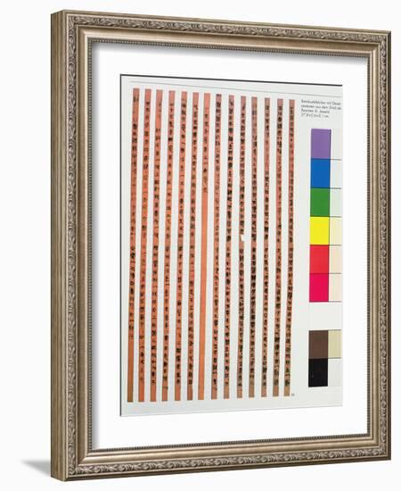 Imperial or Official Chinese Regulations-null-Framed Giclee Print