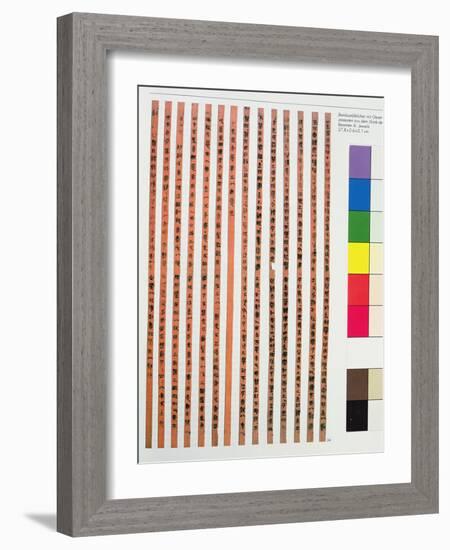 Imperial or Official Chinese Regulations-null-Framed Giclee Print