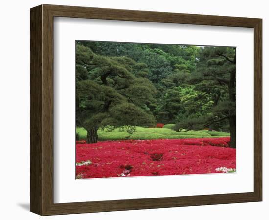 Imperial Palace Garden, Tokyo, Japan-Rob Tilley-Framed Photographic Print