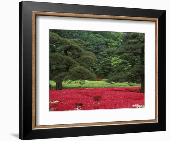 Imperial Palace Garden, Tokyo, Japan-Rob Tilley-Framed Photographic Print
