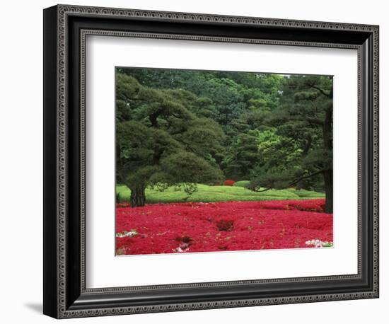 Imperial Palace Garden, Tokyo, Japan-Rob Tilley-Framed Photographic Print