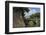 Imperial Palace, Tokyo, Japan, Asia-Richard Cummins-Framed Photographic Print