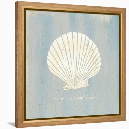 Imperial Scallop-Z Studio-Framed Stretched Canvas