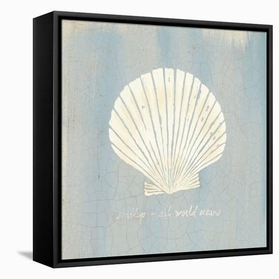 Imperial Scallop-Z Studio-Framed Stretched Canvas
