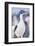 Imperial shag (Leucocarbo atriceps), Sea Lion Island, Falkland Islands, South America-Marco Simoni-Framed Photographic Print