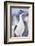 Imperial shag (Leucocarbo atriceps), Sea Lion Island, Falkland Islands, South America-Marco Simoni-Framed Photographic Print