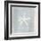 Imperial Starfish-Z Studio-Framed Art Print