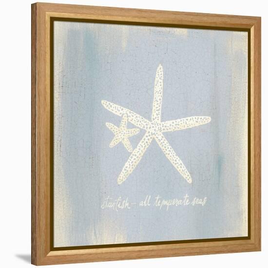 Imperial Starfish-Z Studio-Framed Stretched Canvas