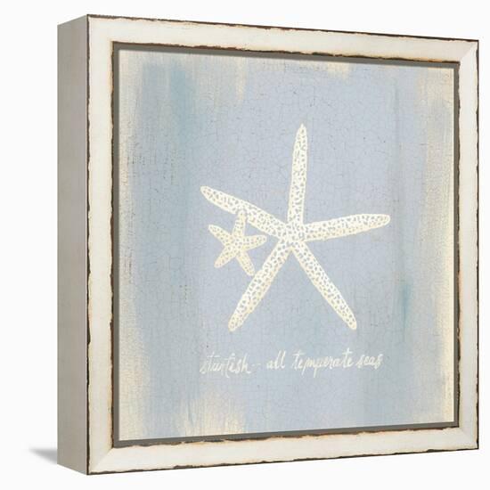 Imperial Starfish-Z Studio-Framed Stretched Canvas