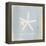 Imperial Starfish-Z Studio-Framed Stretched Canvas