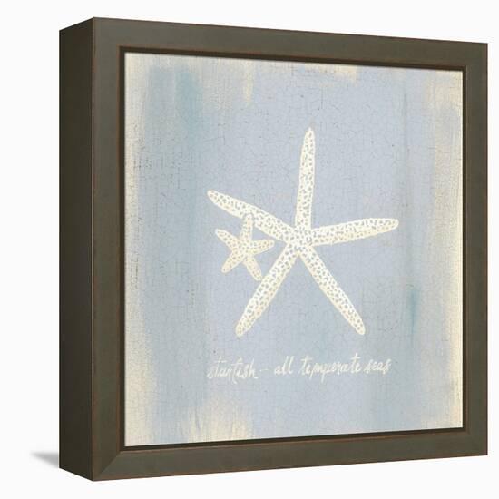 Imperial Starfish-Z Studio-Framed Stretched Canvas