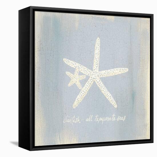 Imperial Starfish-Z Studio-Framed Stretched Canvas