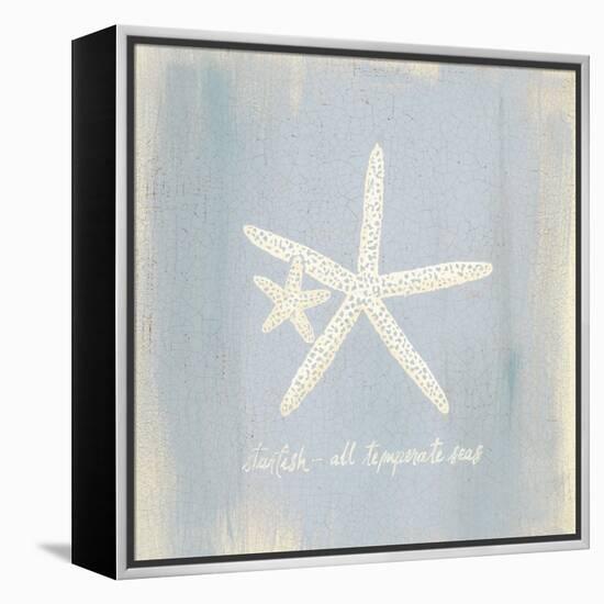 Imperial Starfish-Z Studio-Framed Stretched Canvas