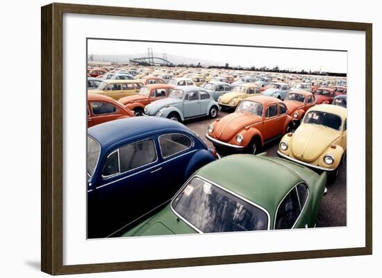 Imported Volkswagen Beetles on an American Pier in 1970s-null-Framed Photo