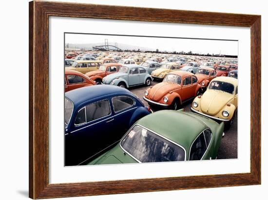 Imported Volkswagen Beetles on an American Pier in 1970s-null-Framed Photo