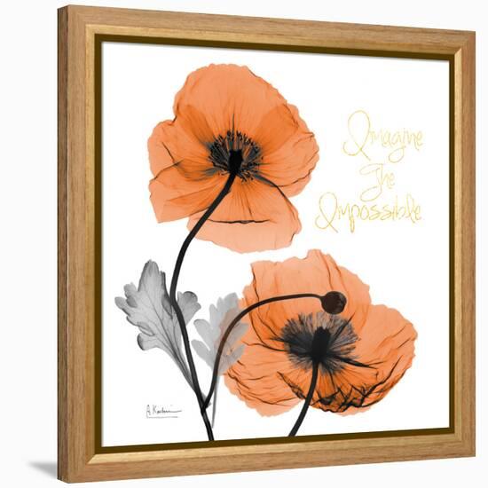 Impossible Iceland Poppy-Albert Koetsier-Framed Stretched Canvas