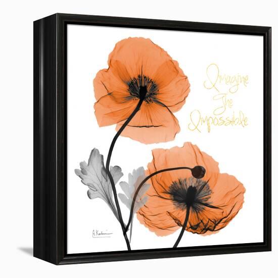 Impossible Iceland Poppy-Albert Koetsier-Framed Stretched Canvas