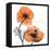 Impossible Iceland Poppy-Albert Koetsier-Framed Stretched Canvas