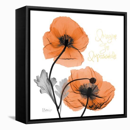 Impossible Iceland Poppy-Albert Koetsier-Framed Stretched Canvas