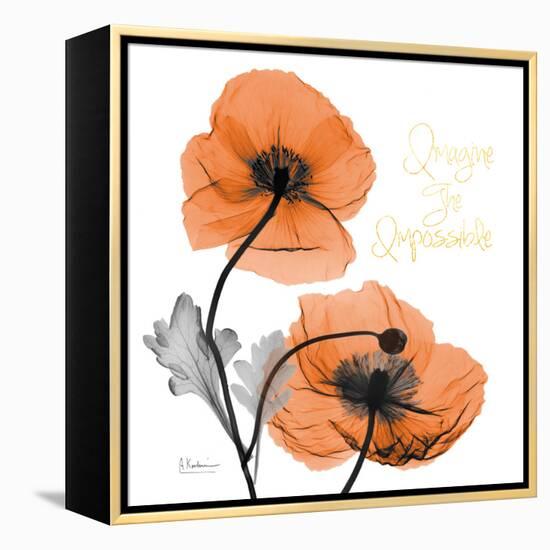 Impossible Iceland Poppy-Albert Koetsier-Framed Stretched Canvas