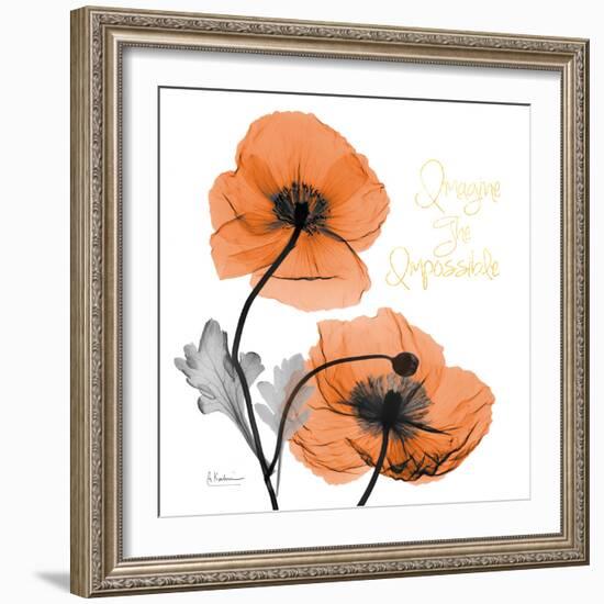 Impossible Iceland Poppy-Albert Koetsier-Framed Photo