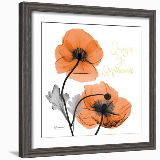 Impossible Iceland Poppy-Albert Koetsier-Framed Photo