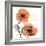 Impossible Iceland Poppy-Albert Koetsier-Framed Photo