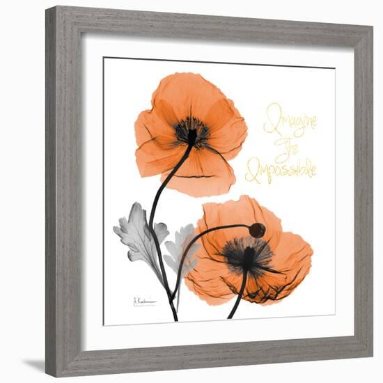 Impossible Iceland Poppy-Albert Koetsier-Framed Photo