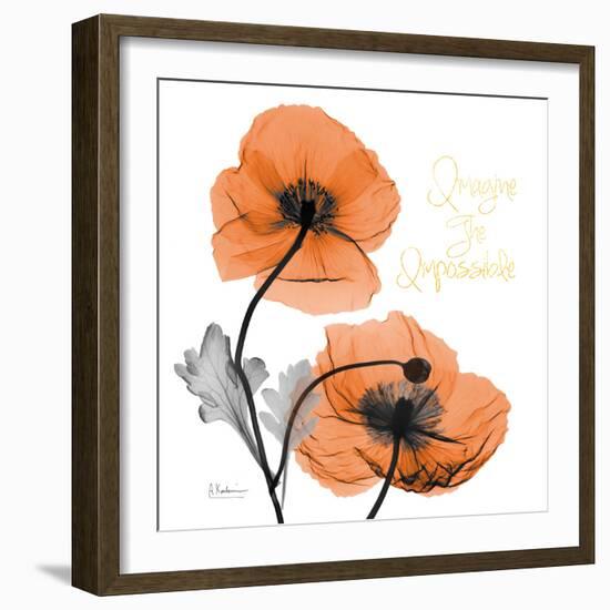 Impossible Iceland Poppy-Albert Koetsier-Framed Photo