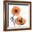 Impossible Iceland Poppy-Albert Koetsier-Framed Photo