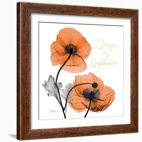 Impossible Iceland Poppy-Albert Koetsier-Framed Photo