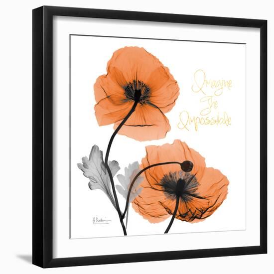 Impossible Iceland Poppy-Albert Koetsier-Framed Photo