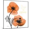 Impossible Iceland Poppy-Albert Koetsier-Mounted Photo