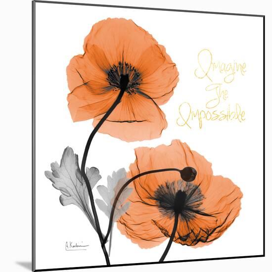 Impossible Iceland Poppy-Albert Koetsier-Mounted Photo