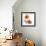 Impossible Iceland Poppy-Albert Koetsier-Framed Photo displayed on a wall