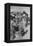 Impoverished Family-Dorothea Lange-Framed Stretched Canvas