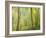 Impression of an Autumn Forest, North Lanarkshire, Scotland, UK, 2007-Niall Benvie-Framed Photographic Print