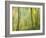 Impression of an Autumn Forest, North Lanarkshire, Scotland, UK, 2007-Niall Benvie-Framed Photographic Print