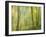 Impression of an Autumn Forest, North Lanarkshire, Scotland, UK, 2007-Niall Benvie-Framed Photographic Print