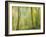 Impression of an Autumn Forest, North Lanarkshire, Scotland, UK, 2007-Niall Benvie-Framed Photographic Print