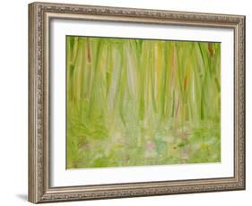 Impression of the Rain Forest, 1991-Laila Shawa-Framed Giclee Print