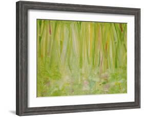 Impression of the Rain Forest, 1991-Laila Shawa-Framed Giclee Print