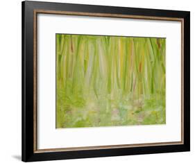 Impression of the Rain Forest, 1991-Laila Shawa-Framed Giclee Print