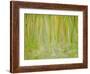 Impression of the Rain Forest, 1991-Laila Shawa-Framed Giclee Print