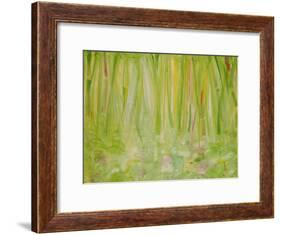 Impression of the Rain Forest, 1991-Laila Shawa-Framed Giclee Print
