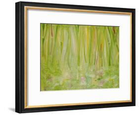 Impression of the Rain Forest, 1991-Laila Shawa-Framed Giclee Print