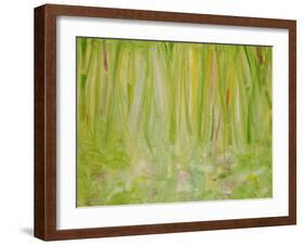 Impression of the Rain Forest, 1991-Laila Shawa-Framed Giclee Print