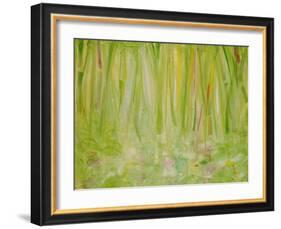 Impression of the Rain Forest, 1991-Laila Shawa-Framed Giclee Print