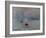 Impression, Rising Sun-Claude Monet-Framed Art Print