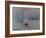 Impression, Rising Sun-Claude Monet-Framed Art Print